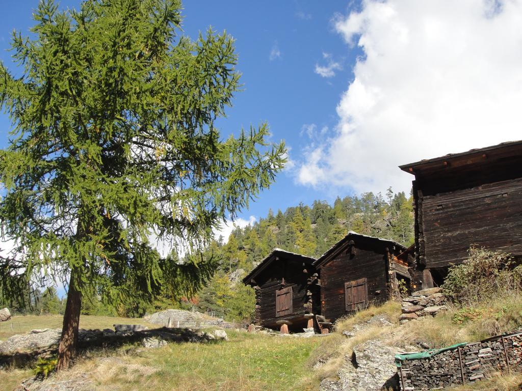 Апартаменти Haus Alpenstern Саас-Грунд Екстер'єр фото